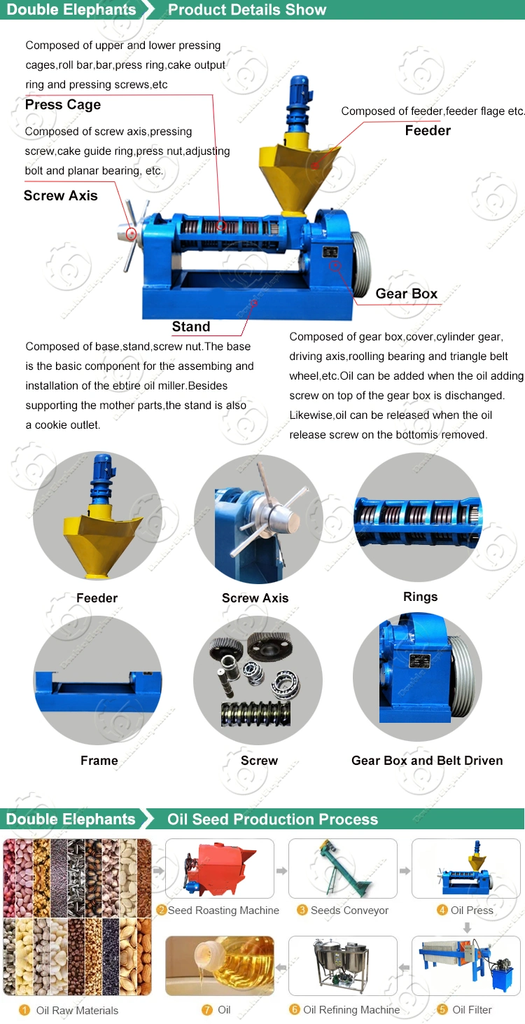 Sunflower Peanut Soybean Coconut Oilve Moringa Seed Mustard Rapeseed Avocado Vegetable Edible Cold Screw Oil Making Extraction Mill Expeller Press Machine