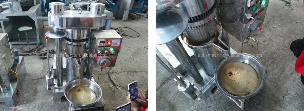 Small Hydraulic Cold Oil Extraction Avocado Oil Cooca Butter Press Machine