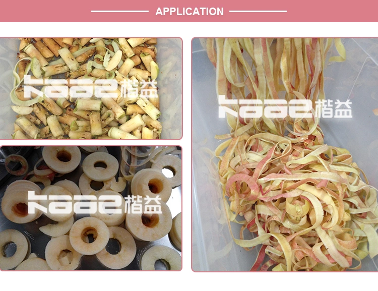 High Speed Industrial Apple Peeling/Slicing/Segmenting/Cutting/Destoning/Coring/Pitting Machine